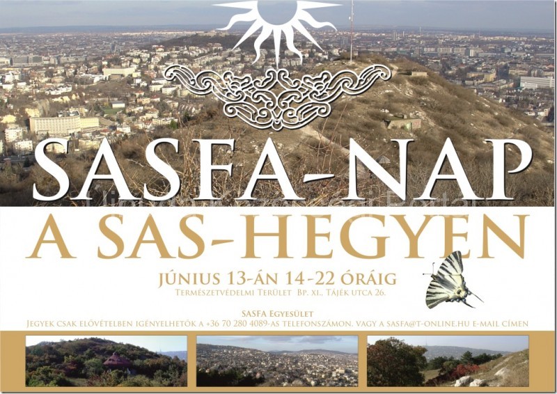 SASFA-Nap 2014.