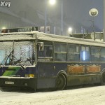 busz